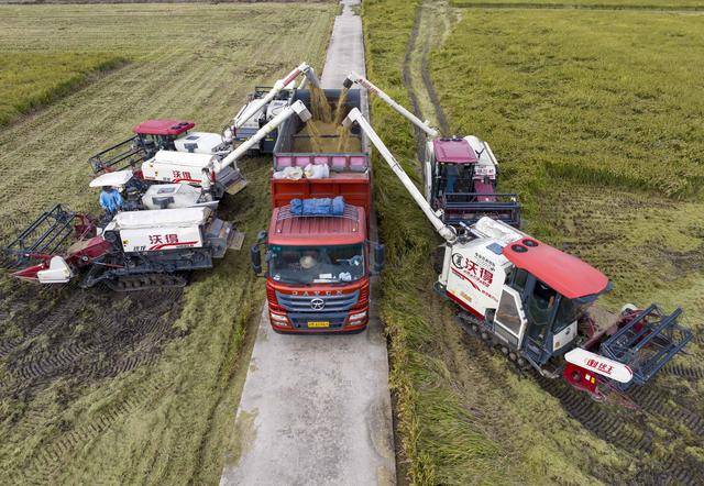 全国秋粮收获过九成 冬小麦播种过两成半