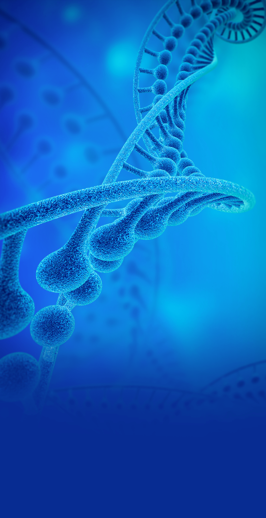 艾迪药业公布2025年三季度业绩:HIV新药收入快速增长 创新管线接连突破