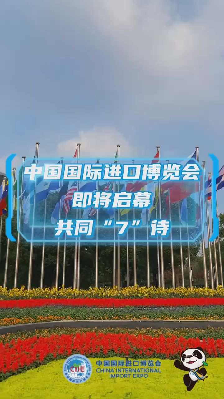 共享中国大市场 共创发展新机遇——写在第八届中国国际进口博览会开幕之际