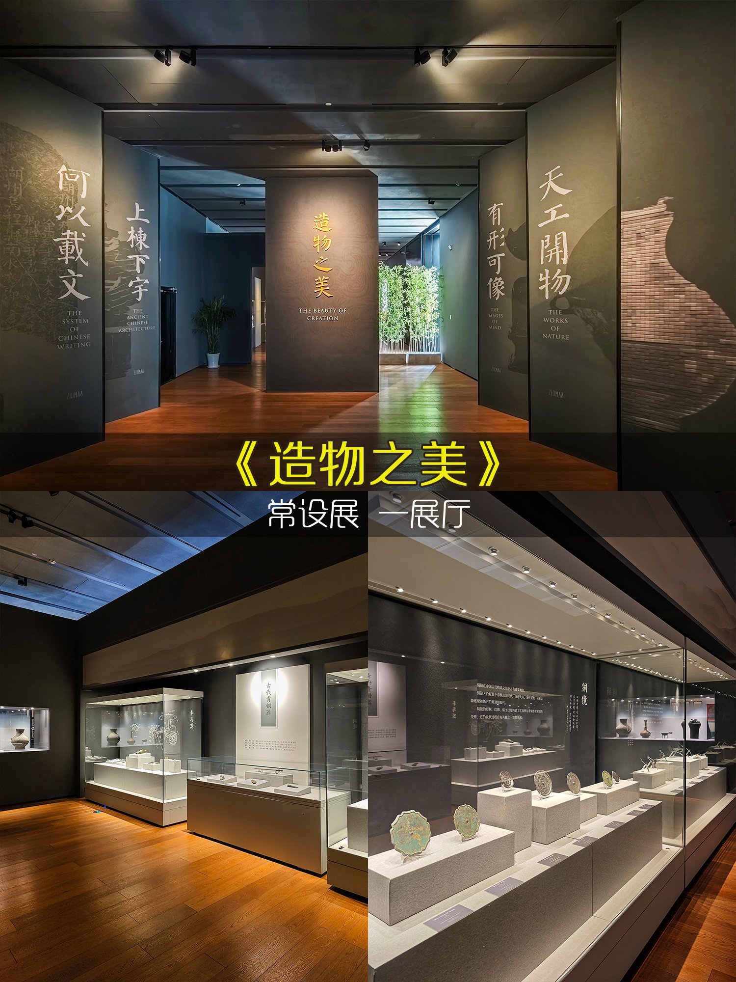 展览规模再创新高，展区设置与内容呈现更加丰富多元——细数进博之“首”