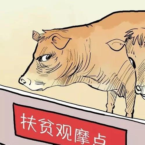 透视“租牛骗贷”迷局：顶名贷款、虚假合同、内部人员收钱为审批“开绿灯”