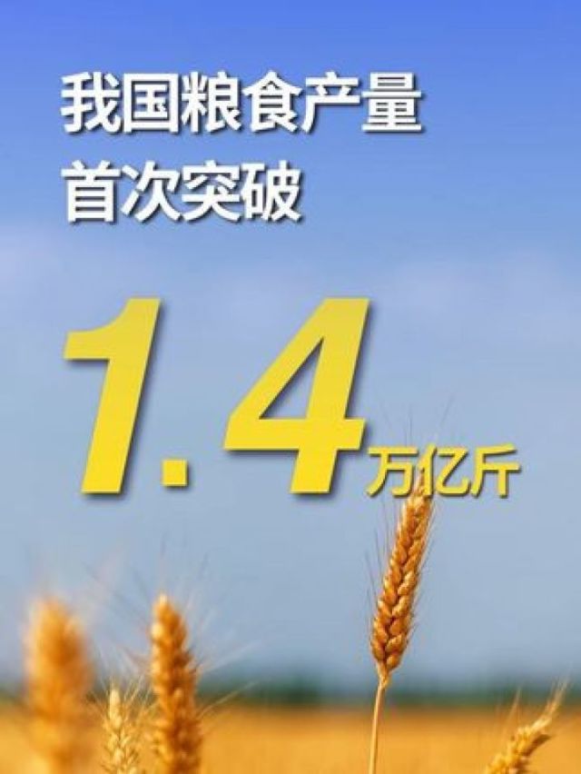 全国秋粮收购超1亿吨