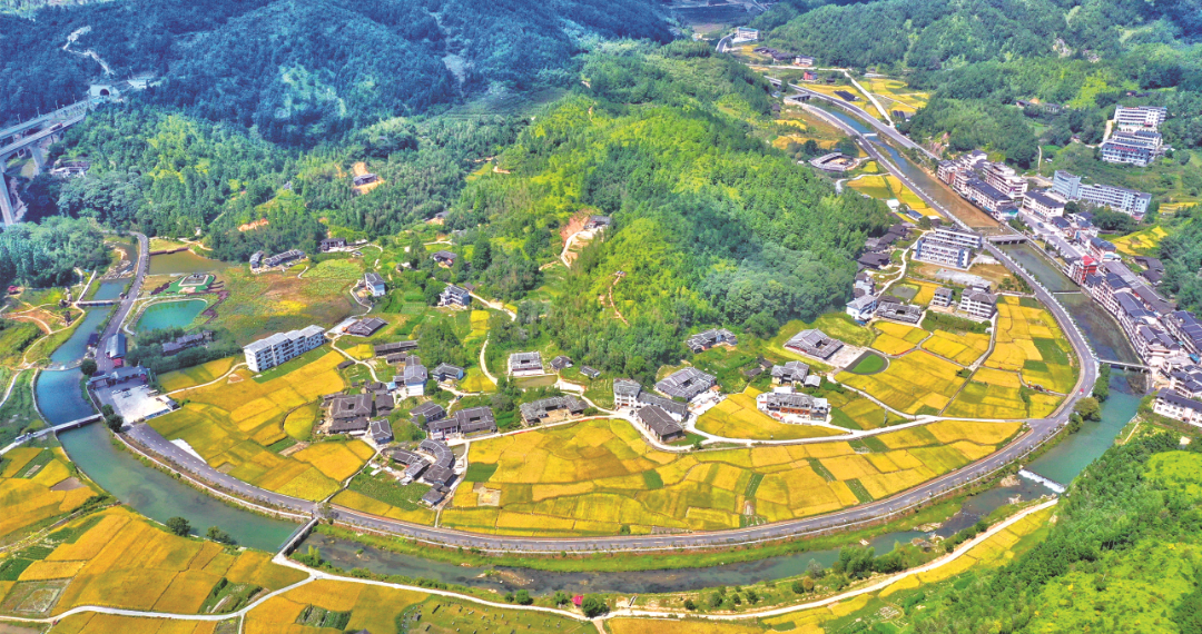 六部门：加快建设现代化国有林场 探索健全现代化经营制度体系