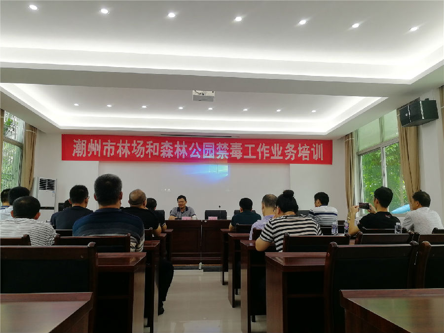 六部门:加快建设现代化国有林场 探索健全现代化经营制度体系