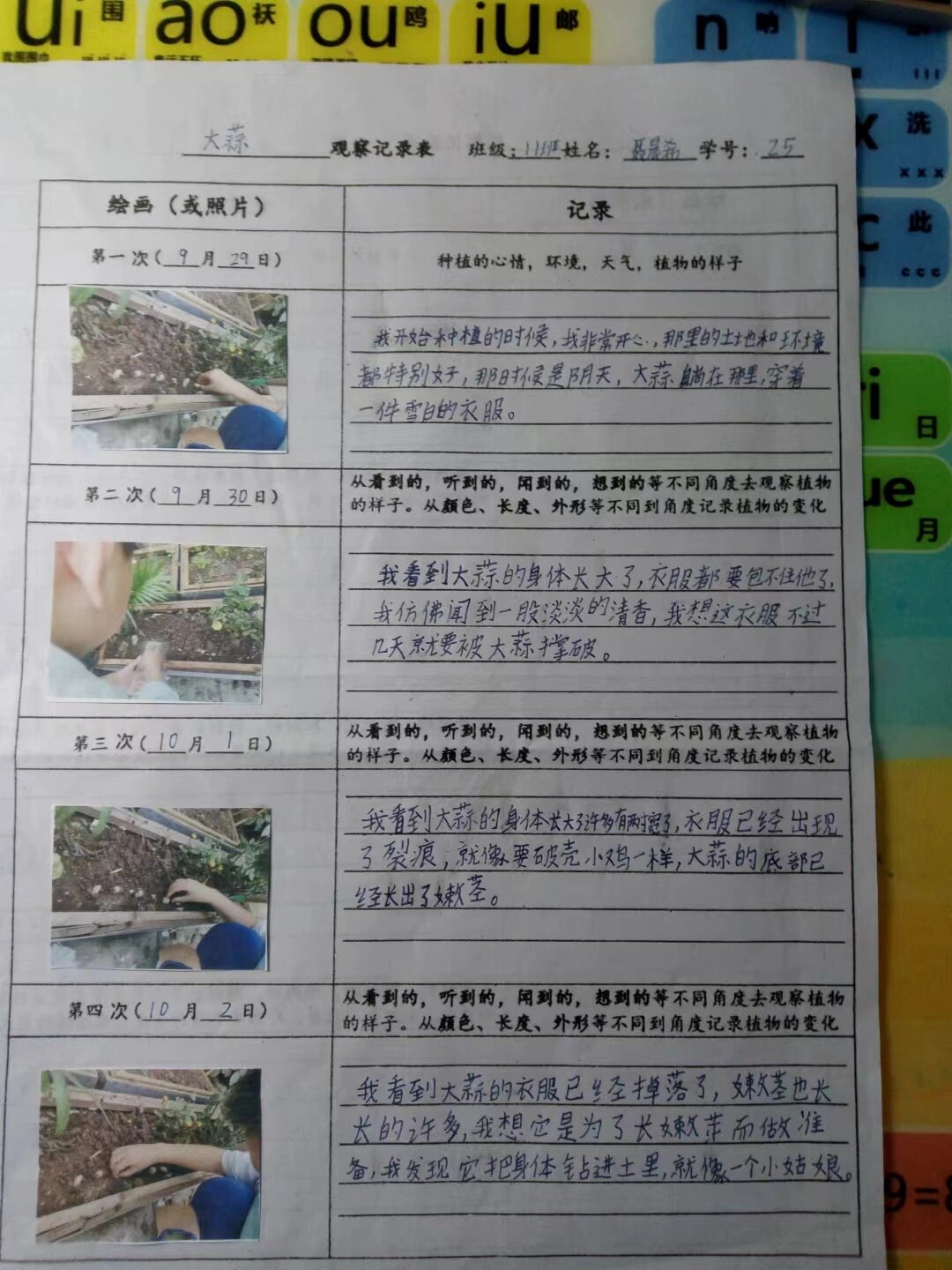 第一观察｜推进党的自我革命，总书记强调抓到位