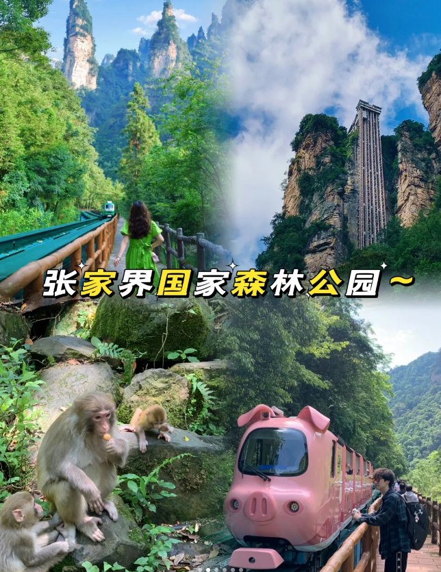 湖南广电与张家界市达成战略合作 大庸古城预计明年7月开园