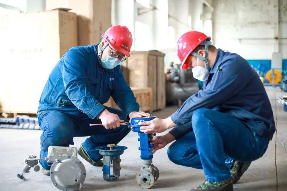 海岛新程｜政策红利释放 助力企业降本增效