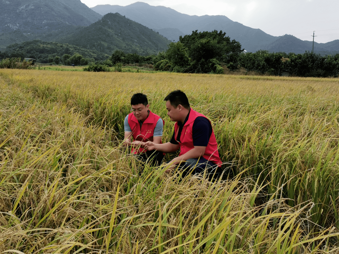 山海情暖珠峰下 联储证券帮扶藏区乡村振兴再出发