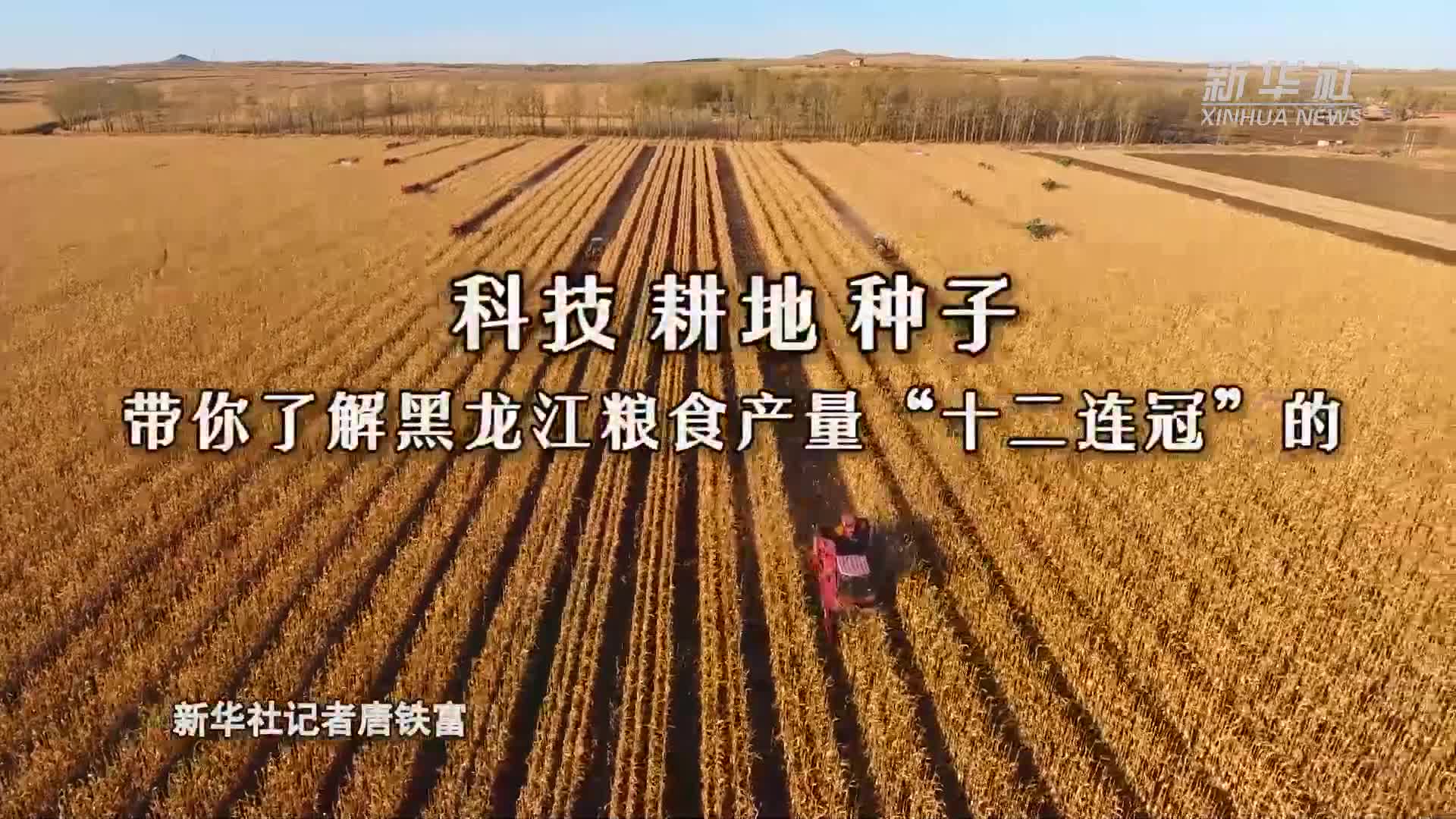 习近平总书记关切事丨琼州海港御长风