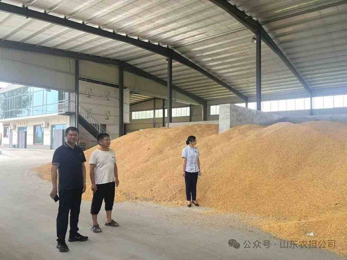 齐鲁股交：强化合规风险管理 助力山东“四板”市场行稳致远