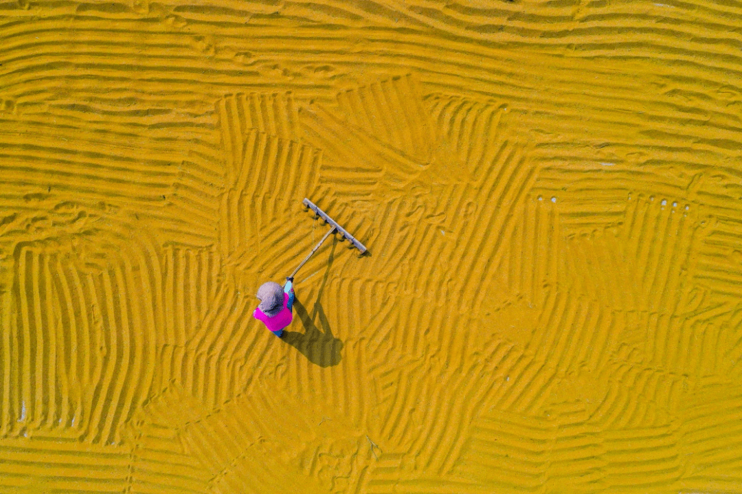 财经深一度丨政策性金融活水如何保障秋粮收购？