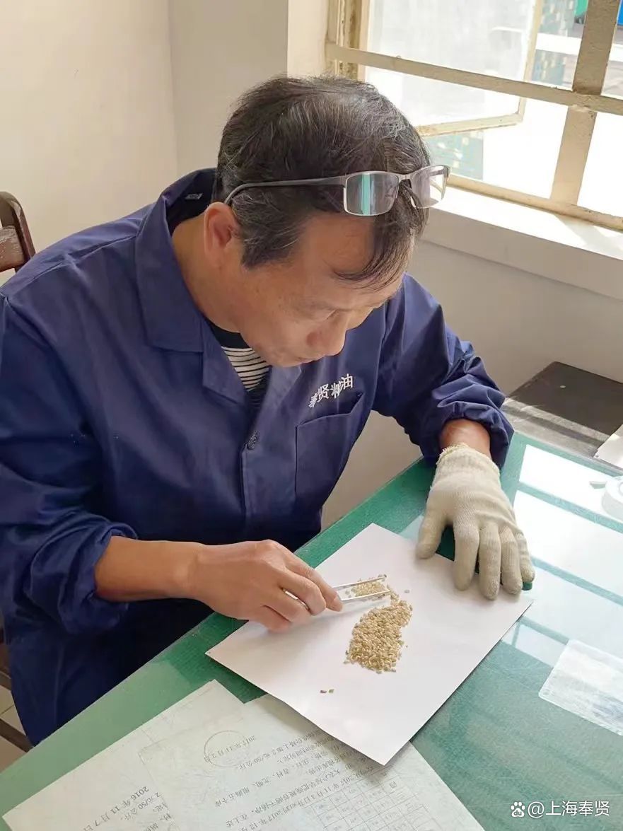 财经深一度丨政策性金融活水如何保障秋粮收购？