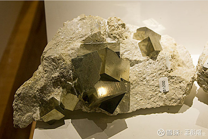 南华期货罗旭峰:为“十五五”开好局贡献坚实的期货力量