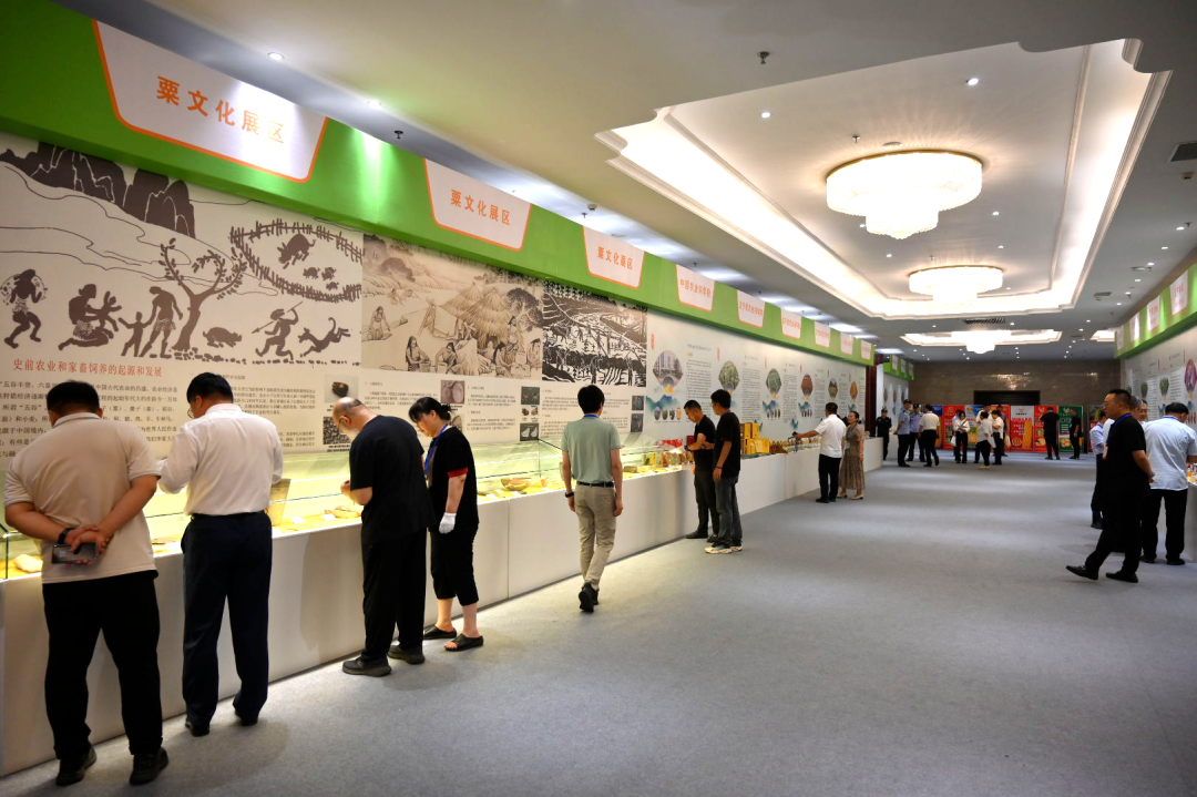 我国最大垦区北大荒集团粮食总产463.14亿斤实现“二十二连丰”