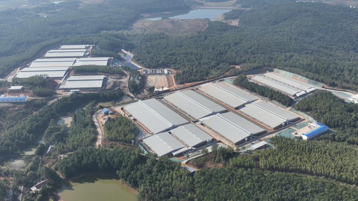 致同:商业银行发展零售业务需更注重结构性、精细化和韧性