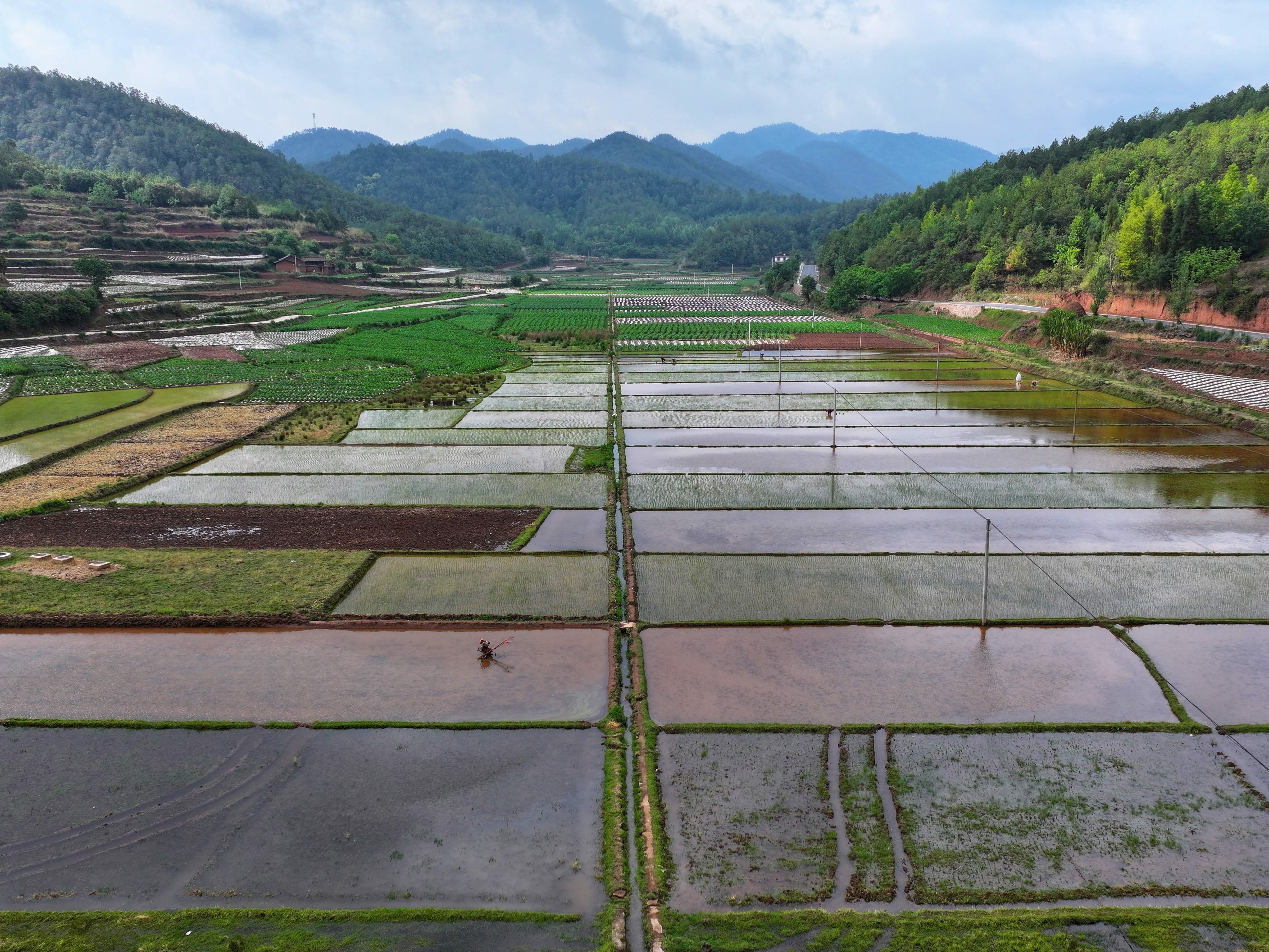 农业农村部高质量推进高标准农田建设