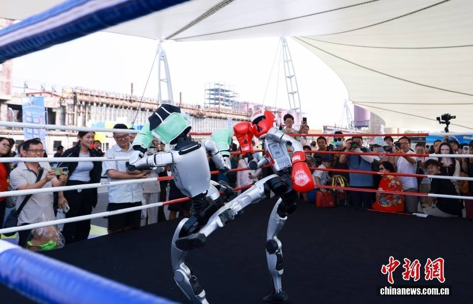 2025年保险业：稳中藏锋 亮点纷呈