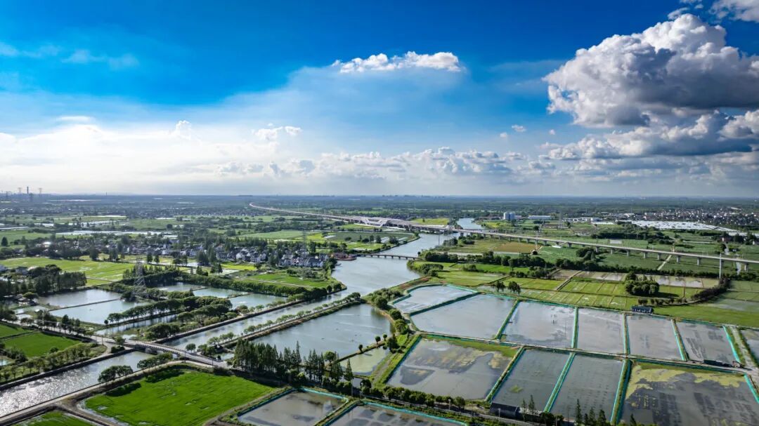 元琛科技董事长徐辉：以AI破局环保瓶颈 赋能“双高”企业实现绿色增效