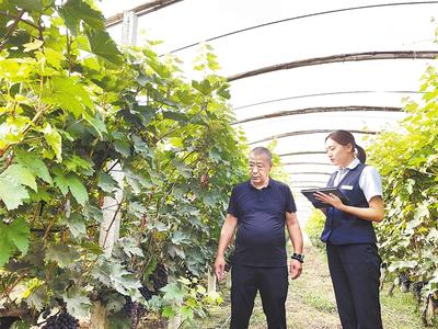 深耕农业金融 邮储银行中山分行赋能乡村振兴显实效