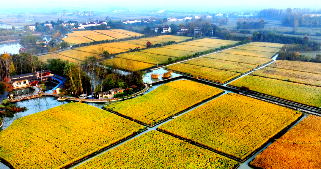 这一年,乡村振兴的魅力风景