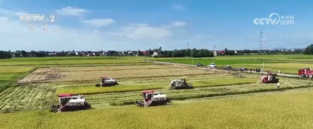 数览中国脉动丨粮稳天下安!“大国粮仓”高位增产