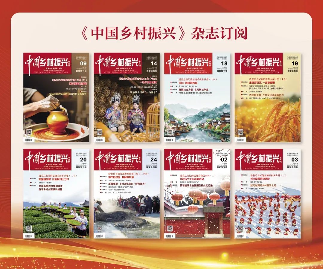 新华社评论员：扎实推进乡村全面振兴