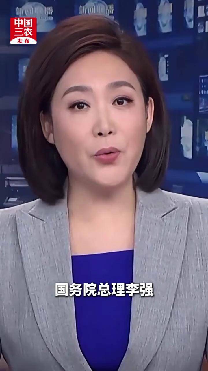 李强主持召开国务院常务会议