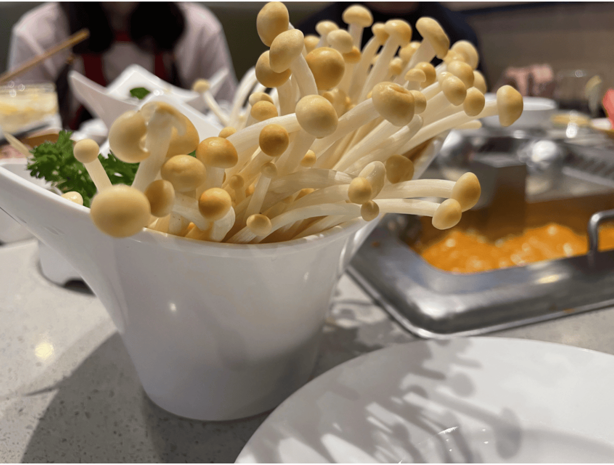 雪榕生物发布自主选育的白色金针菇新菌种