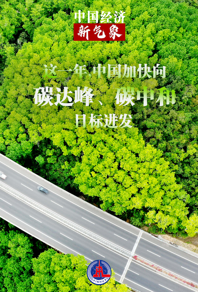 确保一江清水绵延后世、惠泽人民——写在推动长江经济带发展座谈会召开十周年之际