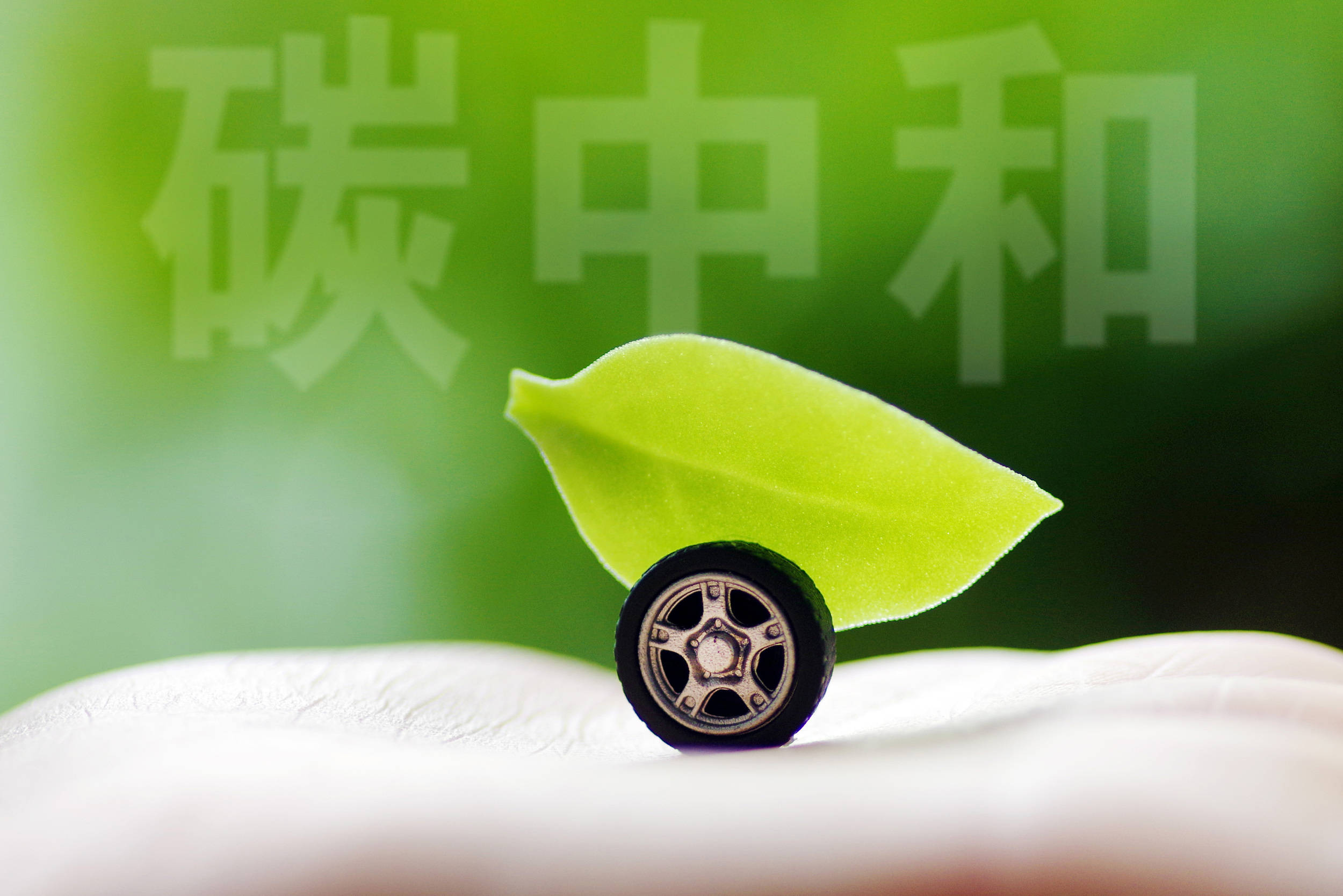 农业农村部:2025年我国农业发展全面绿色转型迈入关键阶段