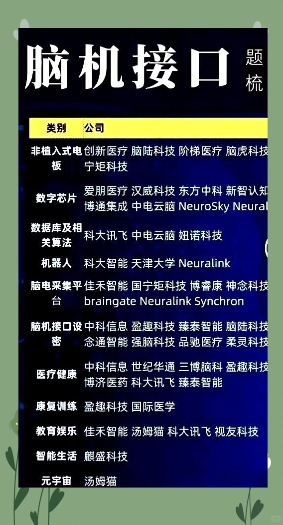 多重利好叠加释放 脑机接口板块“带飞”持仓基金净值