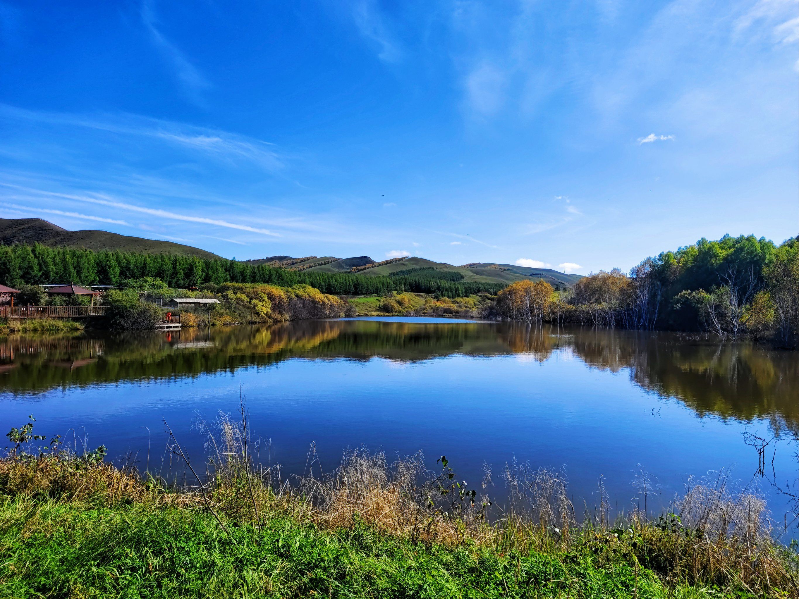 草业国家技术创新中心落地内蒙古