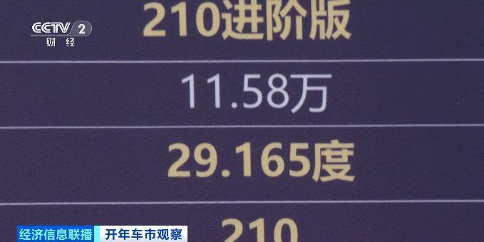消费“新”图景丨“新国补”激发购车热 助力车市“开门红”