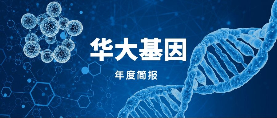 华大基因:2025年预计营收36亿元至39亿元 多元举措推进主业稳健发展