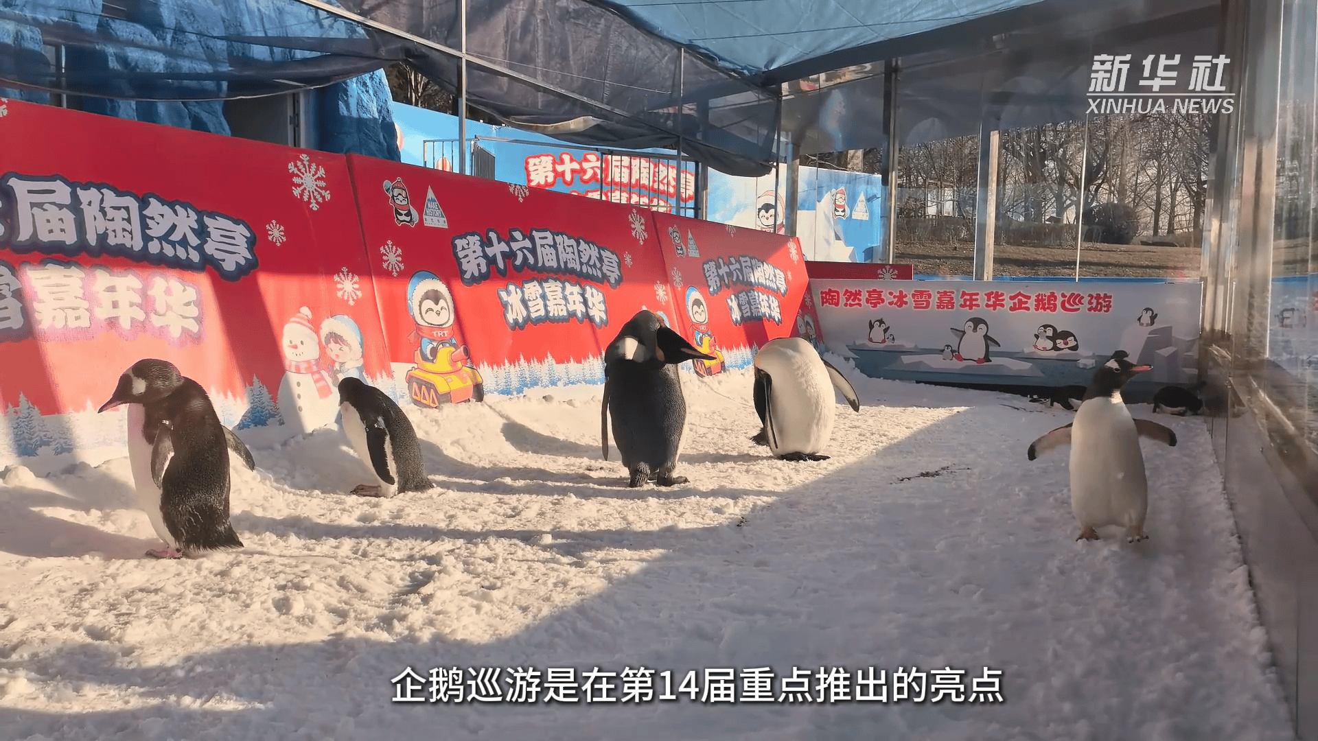 新场景 新活力 新玩法 冰雪消费助力冬日经济“热”起来