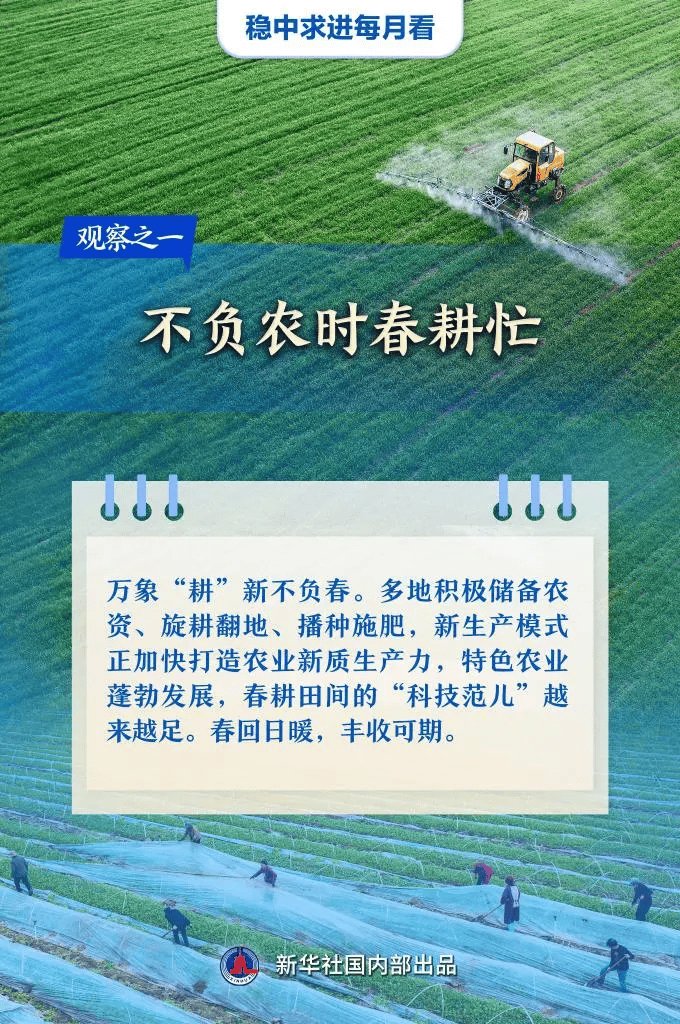 稳中求进每月看丨奋楫开局新潮涌——1月全国各地经济社会发展观察