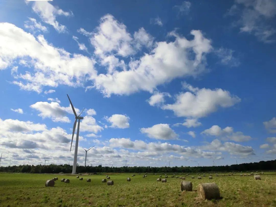 跃马扬鞭自奋蹄——开局之年经济大省挑大梁观察