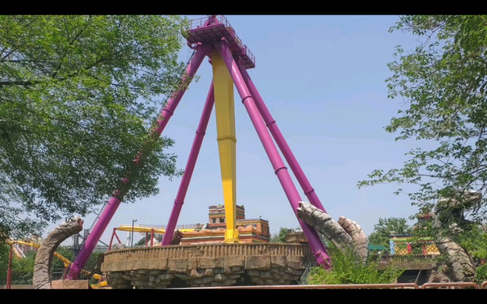 年轻投资者“坐过山车”实录:要把控制风险放在第一位