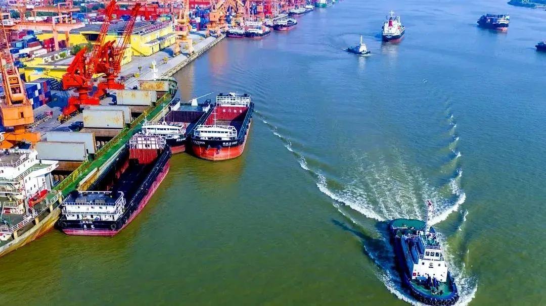 多举措抵御美关税冲击 南非农业出口创新高