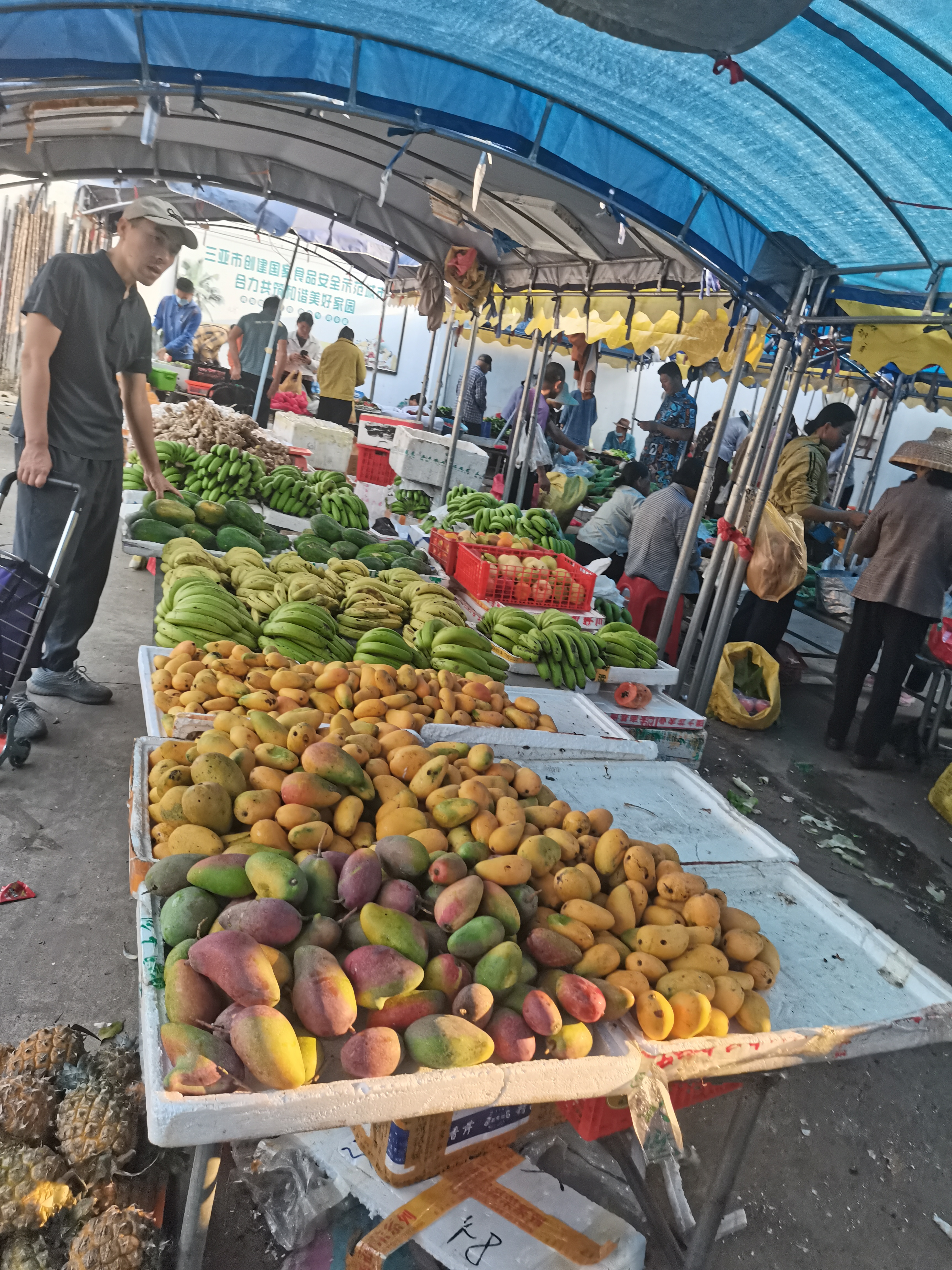 新春走基层丨从年货市集看西藏消费新活力