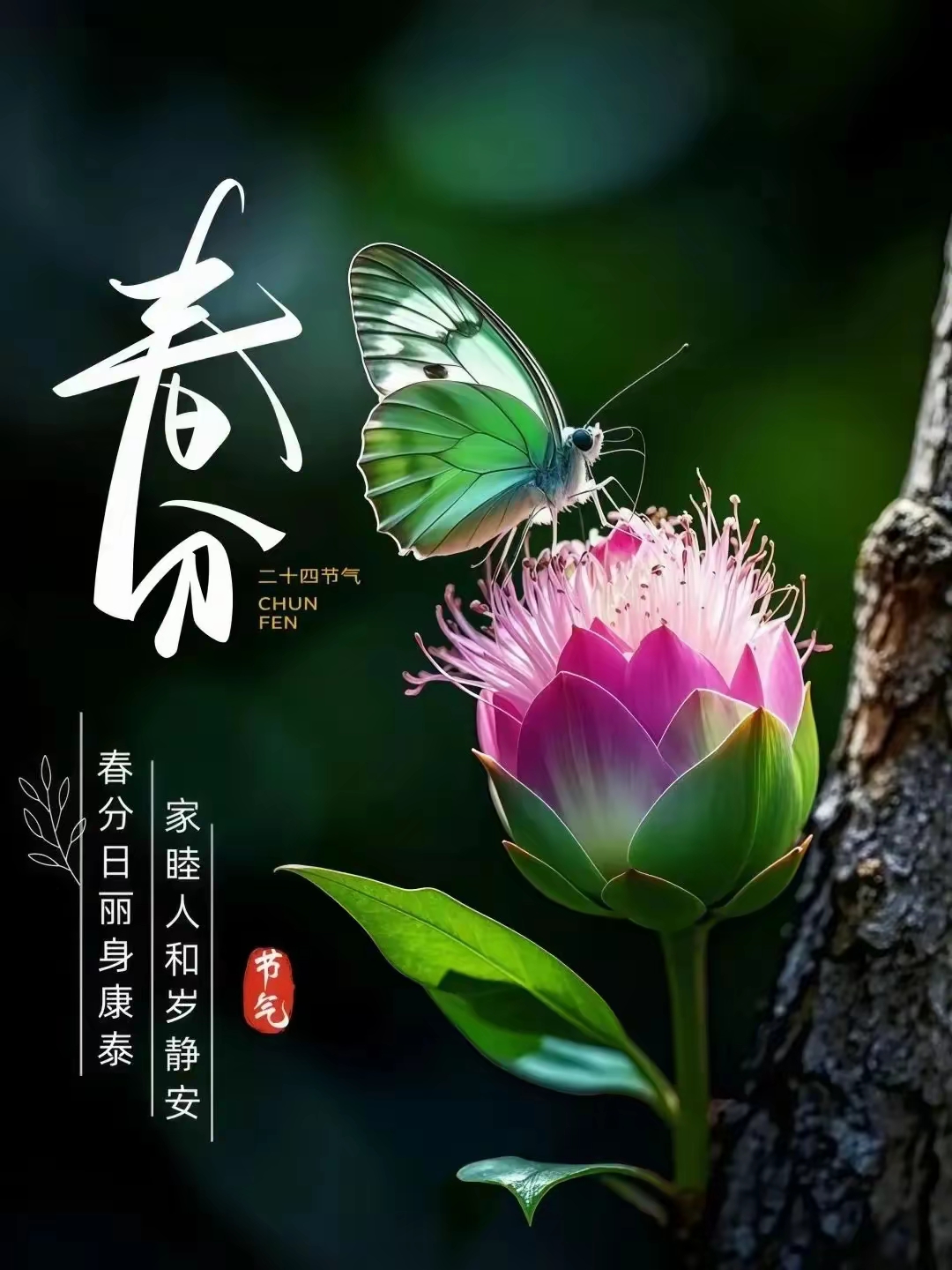 特稿丨中国“朋友圈”里的新春暖意