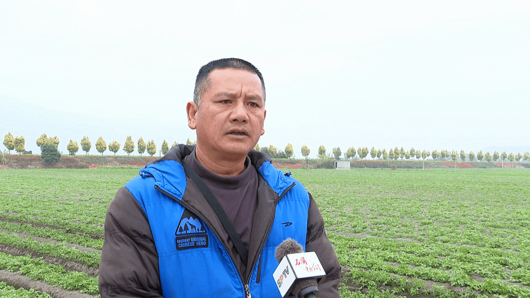 新春走基层|乡村CEO的新年计划