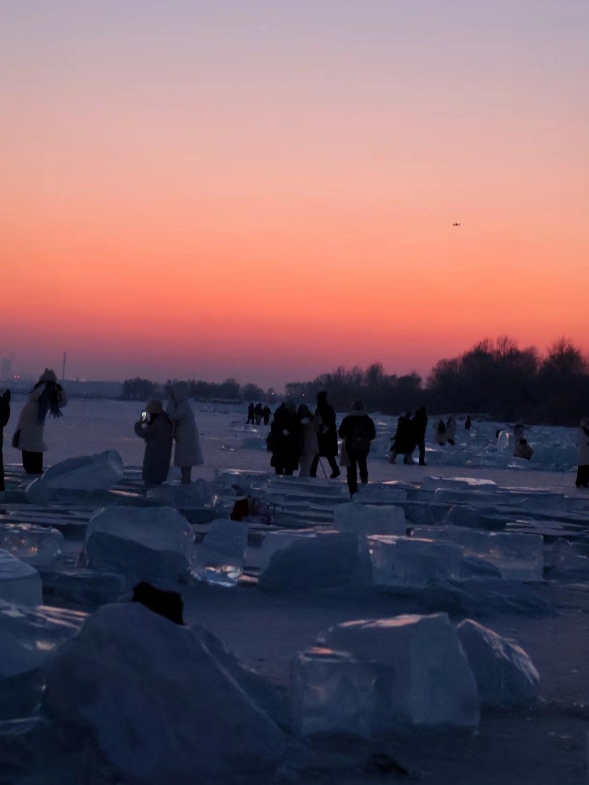 新春走基层|哈素海的冬天