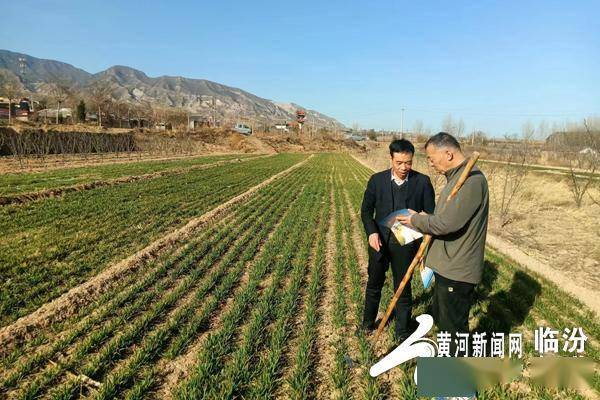 新春走基层·一线直击丨人勤春来早 “雨水”润春耕