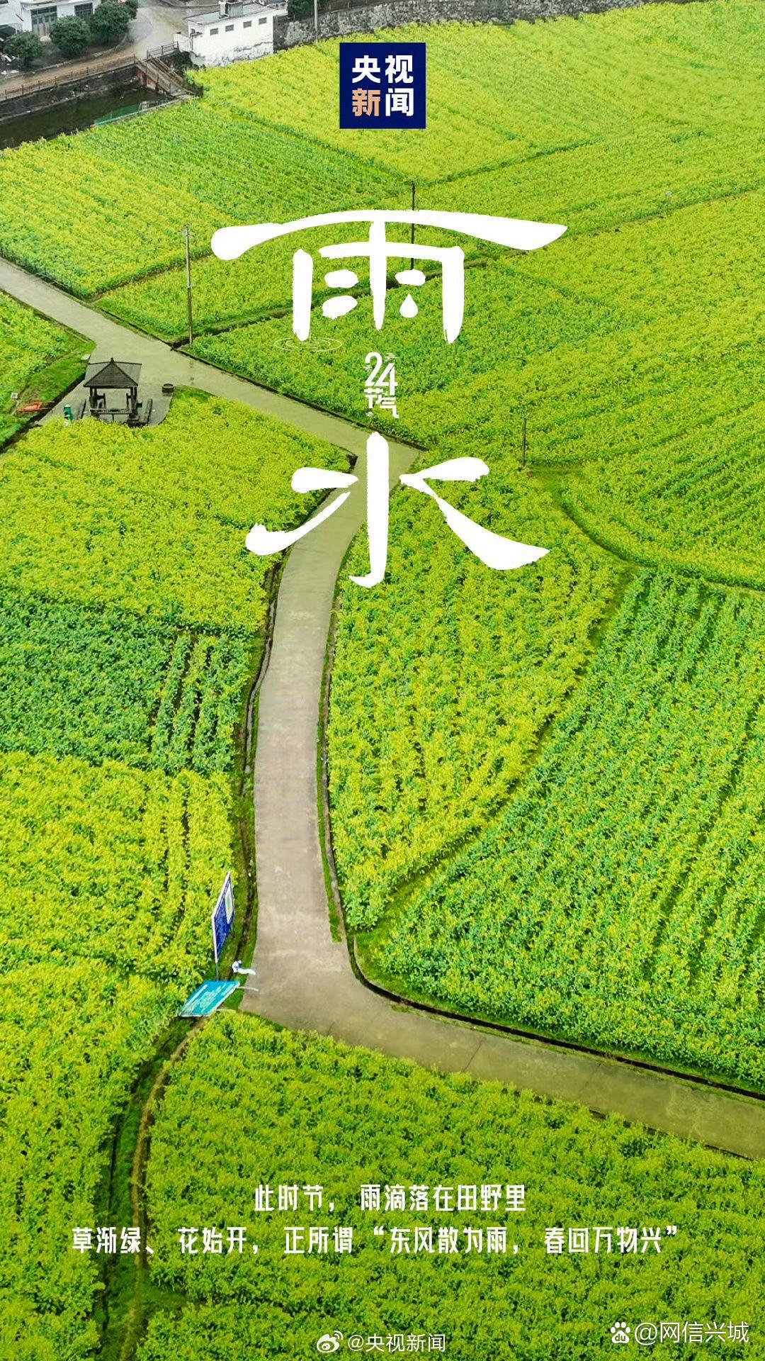 新春走基层·一线直击丨人勤春来早 “雨水”润春耕