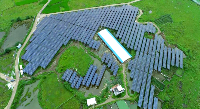 激活绿色转型引擎 筑牢能源安全基石