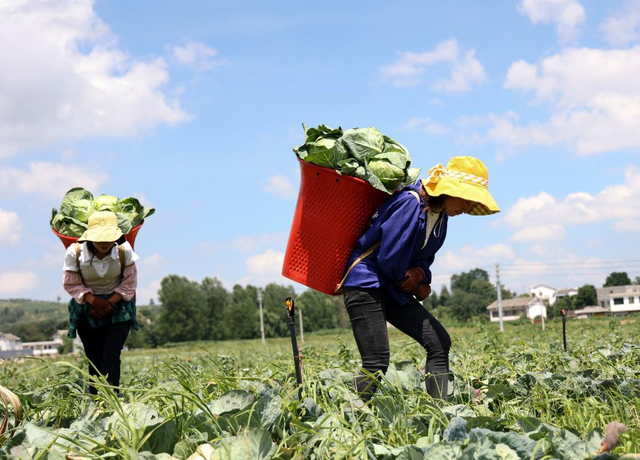 全国人大代表、百斯特投资董事长王强众：发展预制菜产业 赋能乡村振兴