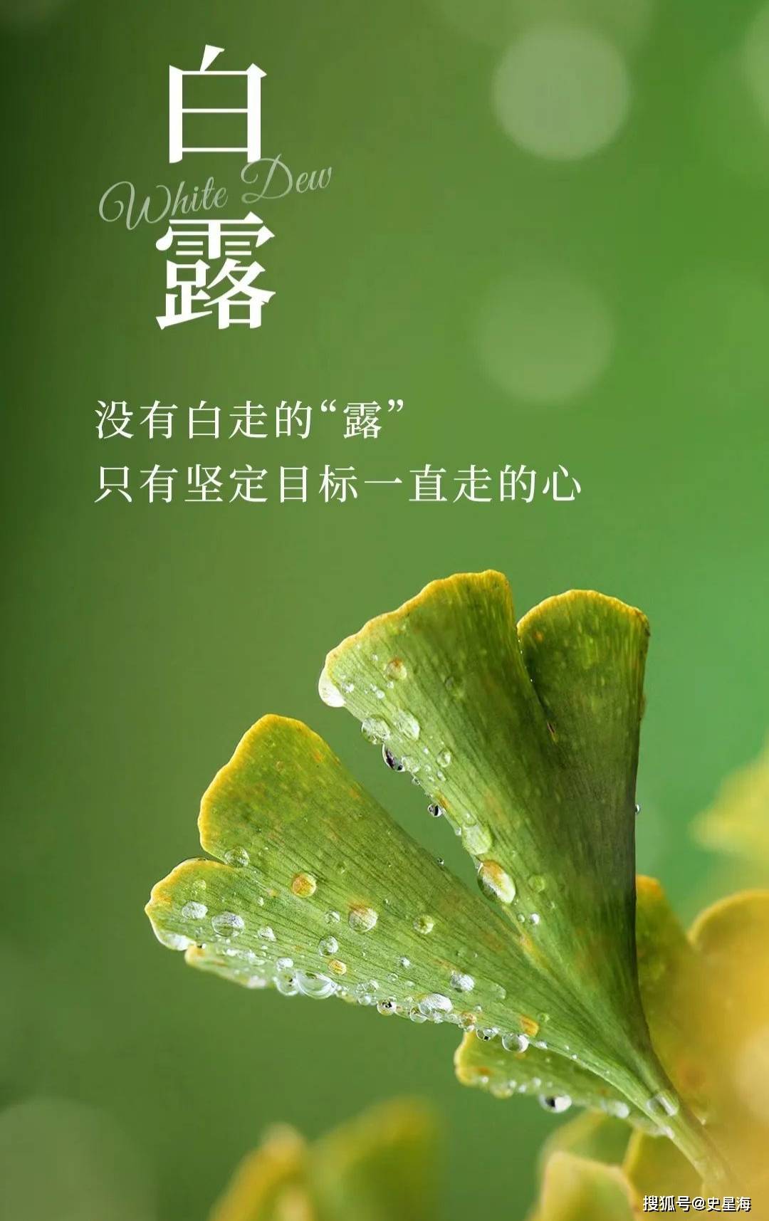 节气物候图鉴：白露至凉意生 全国玉露生凉地图看哪里率先迎秋凉